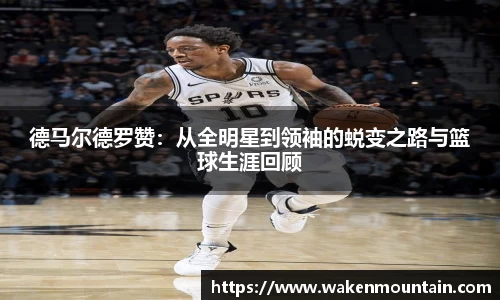 BB贝博登录入口