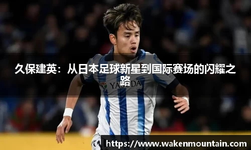BB贝博登录入口