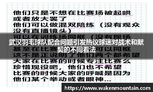 武汉羽毛球队配合问题引发热议球迷对战术和默契的不同看法