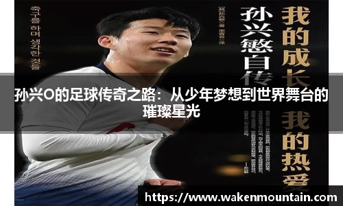 孙兴O的足球传奇之路：从少年梦想到世界舞台的璀璨星光