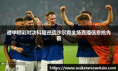 德甲精彩对决科隆迎战沙尔克全场直播信息抢先看